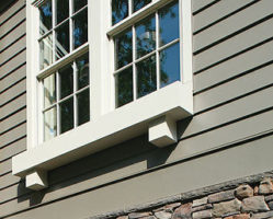 Double-hung windows on a home with siding.